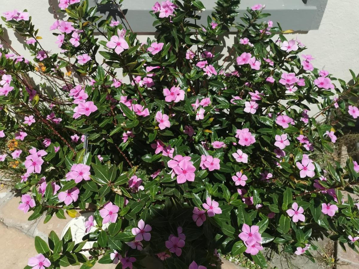 מלון בלוברגסטראנד Blouberg Manor מראה חיצוני תמונה